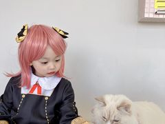 -怪兽屋·羊驼·猫咖·狗咖(俊华广场店)