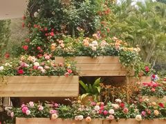 -人民公园(罗湖区)