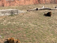 -无锡动物园·太湖欢乐园