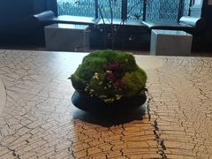 -丽晶轩中餐厅(重庆丽晶酒店)