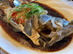 清蒸老虎斑-万宝海鲜舫(劳动公园店)