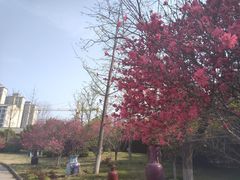 -中国钧瓷文化园