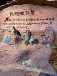 点击看大图 -奇幻萌宠部落(映月湖环宇城店)