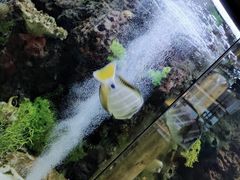 景观位-鱼乐轩·俄罗斯海鲜直供餐厅(群力店)
