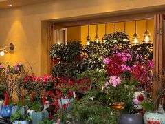 -溪岸路花鸟市场