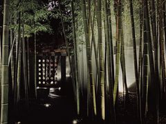 -穹六人间 people 6(岳阳路店)