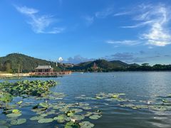 -顺峰山公园