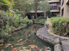 -和县香泉温泉度假村