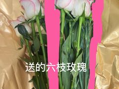 -朝来春花卉市场