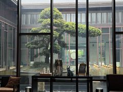 -上海崇明金茂凯悦酒店