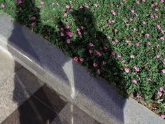 -泉城广场