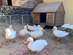 -HERRE·FARM 赫尔露营农场·团建聚会包场