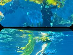 -海合安武汉极地海洋公园