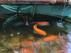 -炙韩料理·部队锅专门店