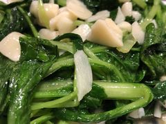 -苗家大院酸汤鱼(贵阳北站店)