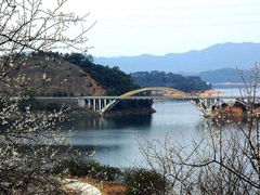 -广州市流溪河国家森林公园