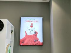 -关爱宠物医院·猫科中心·消化科(滨湖万达分院)