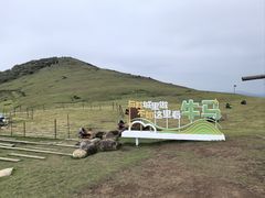 -大姆山草场