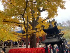-红螺寺