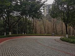 -龙头寺公园
