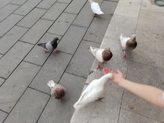 -华谊兄弟（长沙）电影小镇