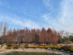 -徐州龟山景区