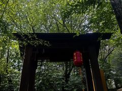 -穹窿山景区