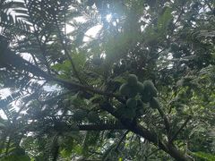 -藏龙百瀑风景区