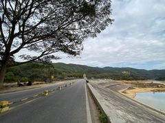 -东莞市大岭山森林公园