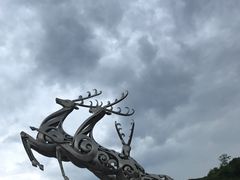 白鹿-白鹿原影视城