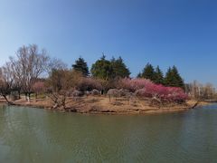 -白塘生态植物园