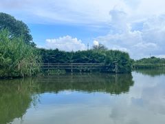 -江门古劳水乡旅游区