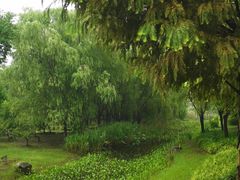 景点-长田漾湿地公园