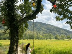-塔川景区