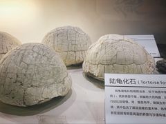 -中国第四纪冰川遗迹陈列馆