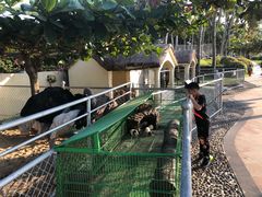 -三亚亚龙湾天域度假酒店