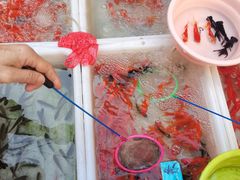 -清平路水族市场