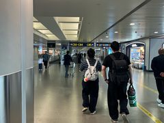 -上海浦东国际机场-T2航站楼