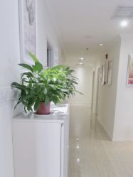 -SILKTONE诗丽堂美容