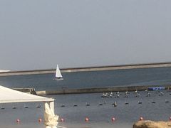 -碧海金沙