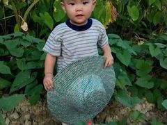 -松山湖南湖湾露营营地