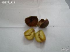 照片&nbsp;007-秋栗香(地安门店)