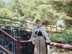 -王顺山国家森林公园