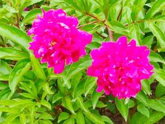 -长春公园(普阳街道)