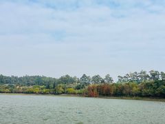 -南国桃园旅游度假区