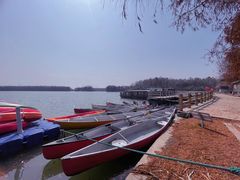 -上海海湾国家森林公园