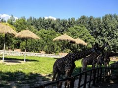 -北京野生动物园