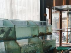 -桃源村铁锅炖鱼(体育馆道店)
