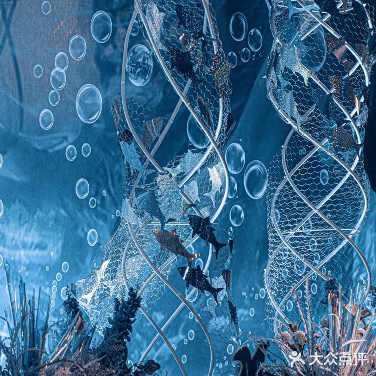 梦幻蓝色海洋风🌊在海底举办了一场婚礼