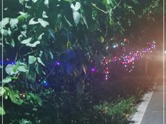 -东澳岛